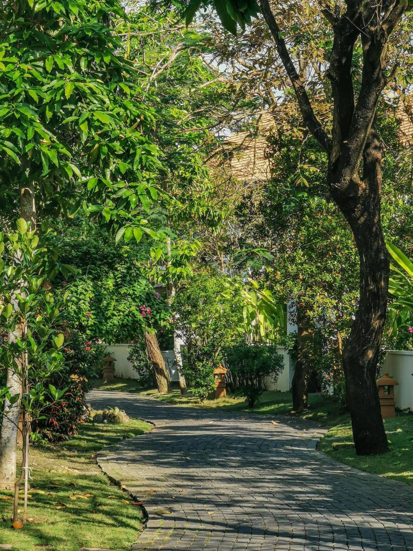 Tropical Pool Villas 岘港 外观 照片